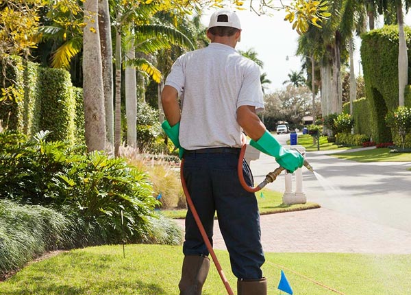 About Rockville MO Pest Control